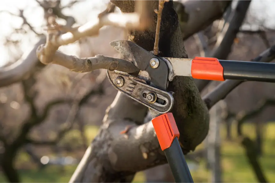 A-1 Tree Care LLC's Other Services
