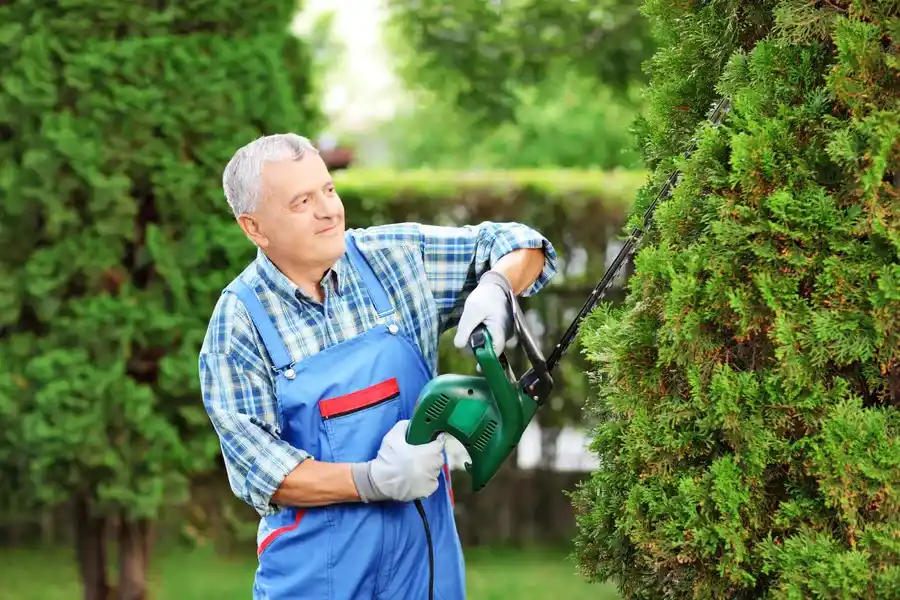 Essential Bush Trimming Techniques For Healthier Growth Independence, MO