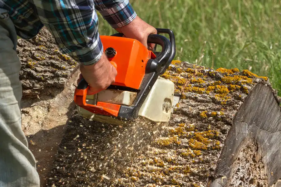 Excellent Tree Removal Independence, MO
