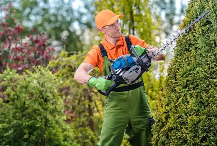 How Overgrown Bushes Can Affect Property Value And Safety in Independence, MO