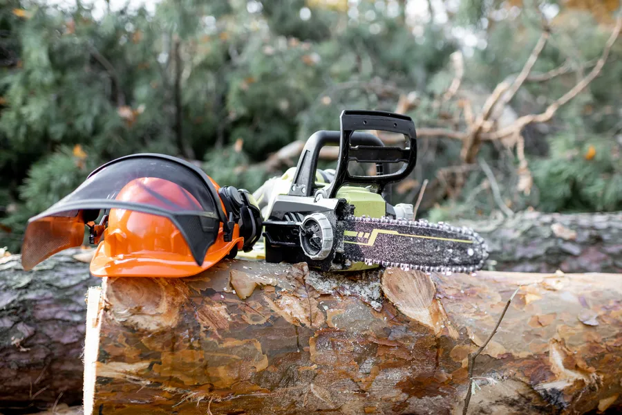 How Tree Cutting Enhances Property Safety And Aesthetics in Independence, MO