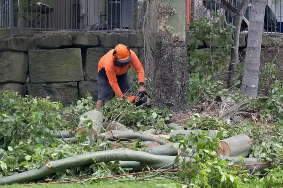 How Tree Removal Protects Your Home And Landscape in Independence, MO