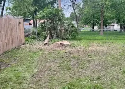 Local Tree Company