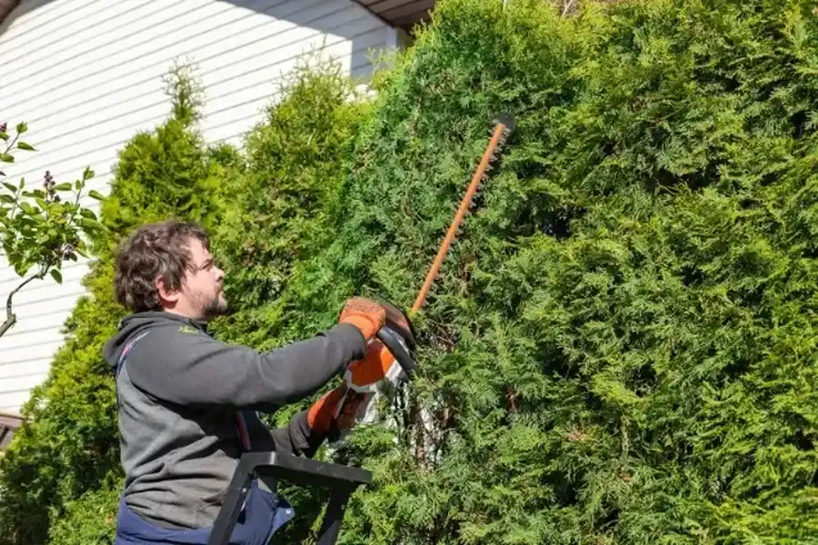 Reliable Bush Trimming Independence, MO