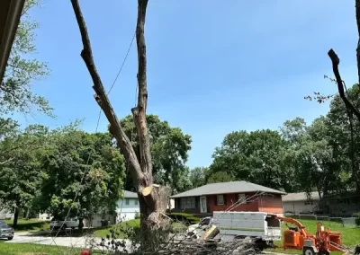 Reliable Tree Maintenance