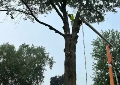 Reliable Tree Maintenance