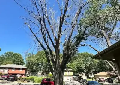 Reliable Tree Maintenance