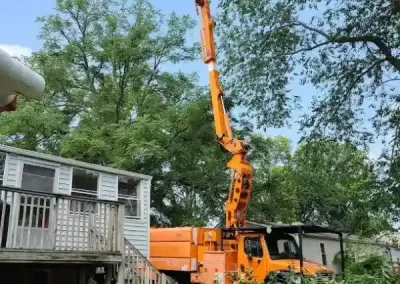 Reliable Tree Maintenance