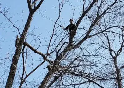 Reliable Tree Maintenance