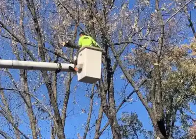 Reliable Tree Maintenance