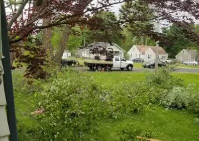 Reliable Tree Maintenance