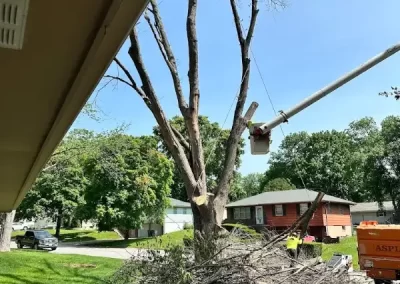 Reliable Tree Maintenance