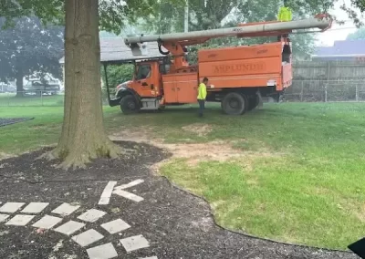 Reliable Tree Maintenance