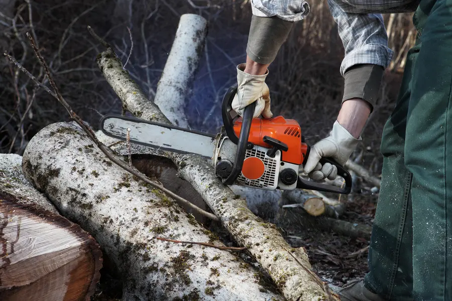 Superior Tree Cutting Independence, MO