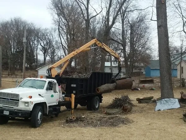Tree Cutting