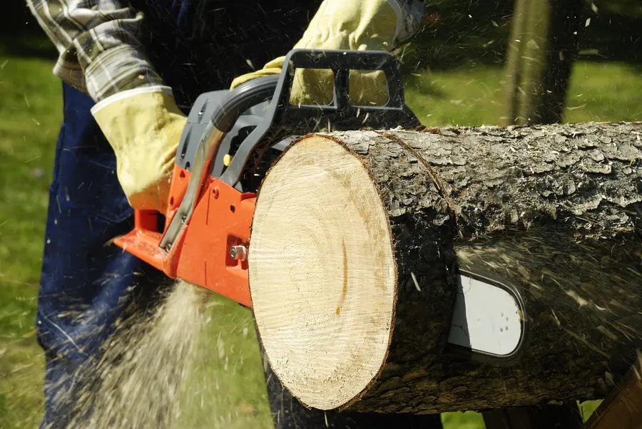 Why Tree Cutting Should Be Left To The Experts Independence, MO