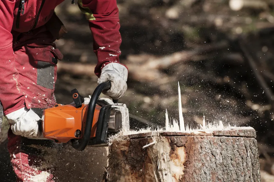 Why Tree Cutting Should Be Left To The Experts in Independence, MO